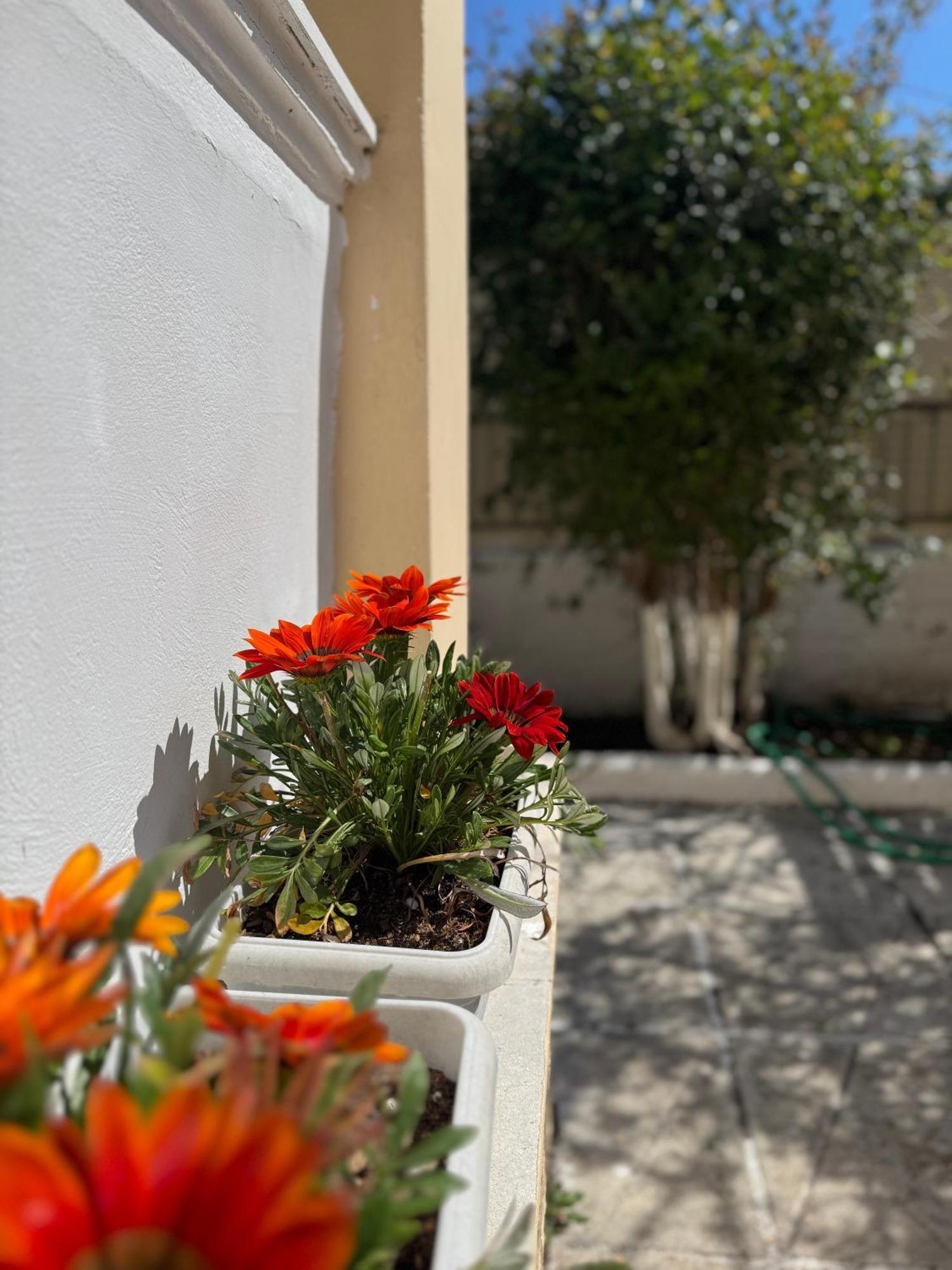 Corfu-Apartments4You Acharavi  Luaran gambar